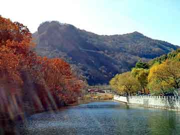 新澳天天开奖资料大全旅游团，热流道发热圈